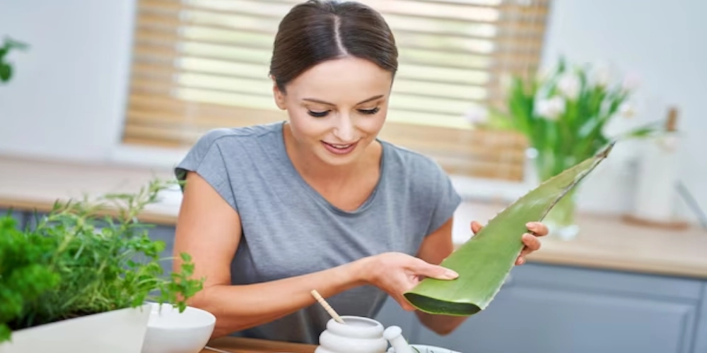 which-type-of-aloe-vera-plant-is-good-for-skin