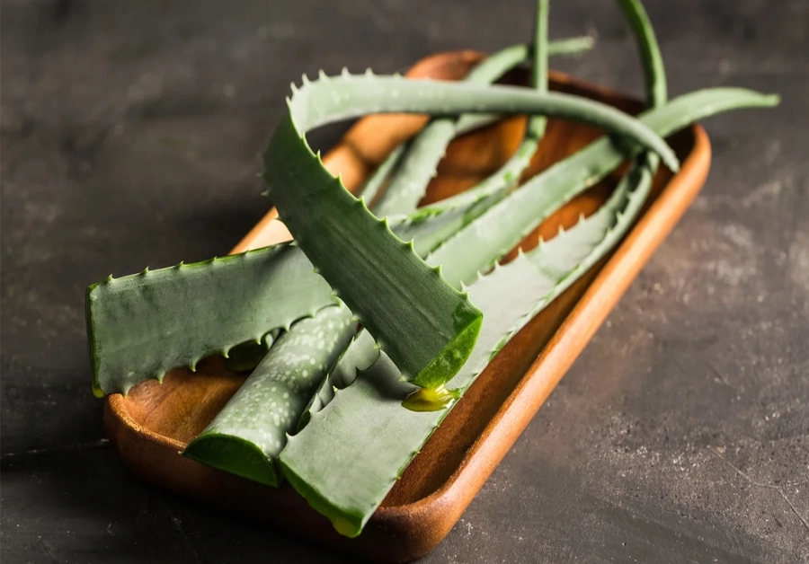aloe-vera-for-weight-loss-benefits-and-side-effects