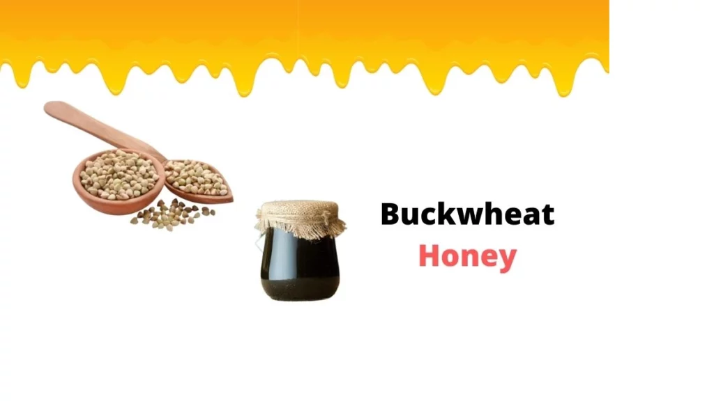 buckwheat-honey-benefits-uses-and-more